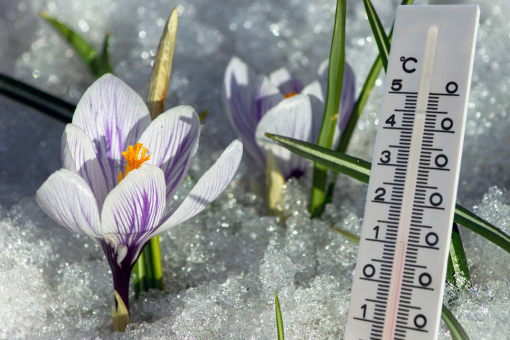 Довідка про середньодобову температуру повітря за лютий 2026 року по місту Кременчук